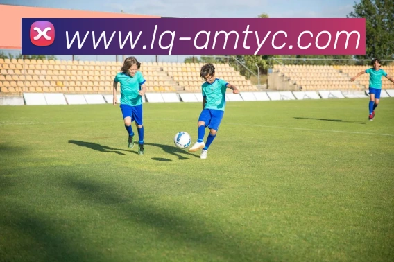 太阳城网站发展历程